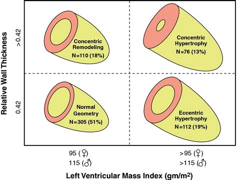 Patterns of left ventricular remodeling post